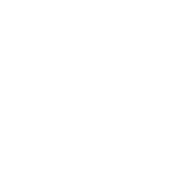 social media marketing icon